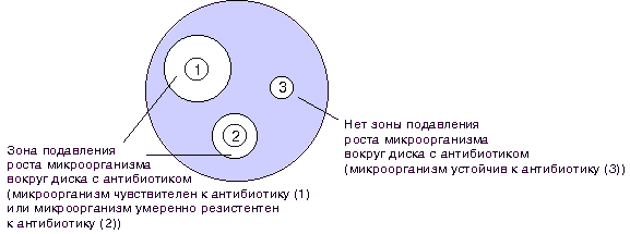 Диагностические антигенные препараты: диагностикумы, аллергены, токсины. Получение. Применение. - student2.ru