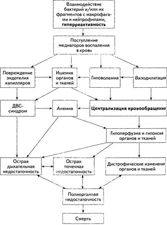 диагностика и терапия жизнеопасных состояний - student2.ru