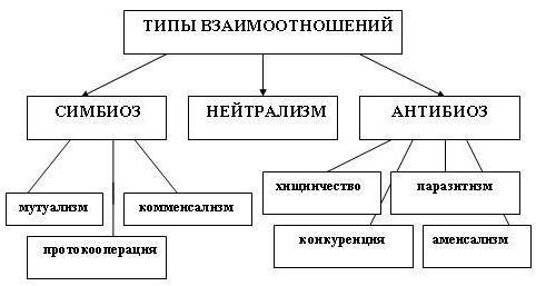 Диагностика хромосомных болезней - student2.ru