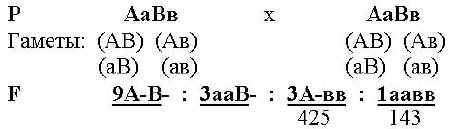 Дигибридное скрещивание независимое наследование генов - student2.ru