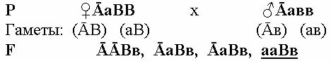 Дигибридное скрещивание независимое наследование генов - student2.ru