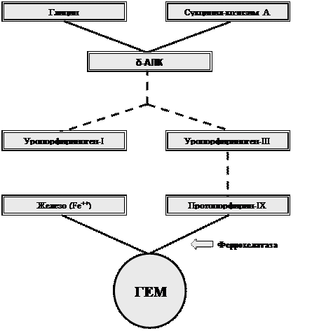 Для чего предназначен текстовый процессор Microsoft Word, и какова его роль в автоматизации профессиональной деятельности врача - student2.ru