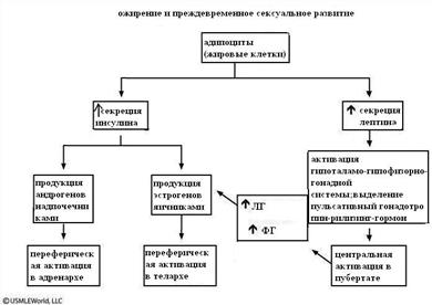 Дневный мальчик доставлен в отделение неотложной помощи в связи с легкой bruisability. 12 страница - student2.ru