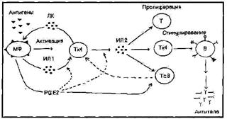 Другие компоненты Спирулины. - student2.ru