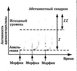 Другие медиаторы-непептиды: гистамин, аспарагиновая кислота, глицин, пурины - student2.ru