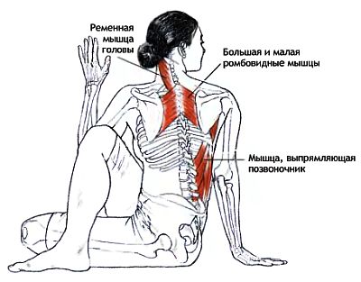 Дыхание - student2.ru