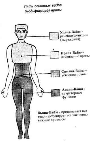 Джняна-Мудра -символ посвященных - student2.ru