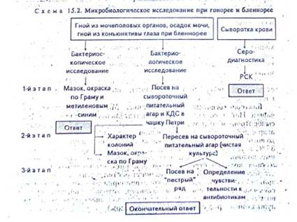 Фагоцитоз: особенности физиологии и функции фагоцитов, стадии фагоцитоза. Методы изучения фагоцитарной активности лимфоцитов. - student2.ru