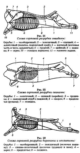 ферментация (созревание) мяса - student2.ru