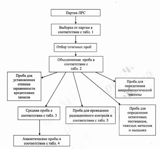 филиал фгбоу во волггму минздрава россии - student2.ru