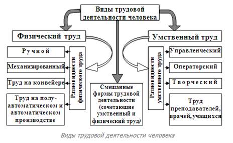 Физический и умственный труд - student2.ru