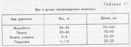 Физиологические особенности новорожденных и их болезни. - student2.ru