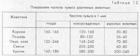 Физиологические особенности новорожденных и их болезни. - student2.ru