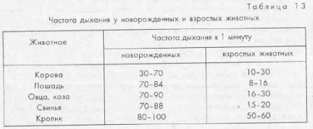 Физиологические особенности новорожденных и их болезни. - student2.ru