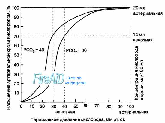 Физиологические подходы к изучению процесса мышления. Образное и вербальное мышление. - student2.ru