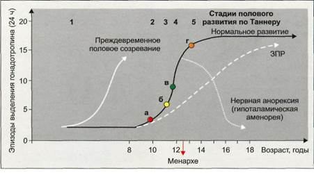 Физиология и патофизиология ювенильных нарушений менструального цикла - student2.ru