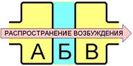 Физиология как научная основа медицины, оценки состояния здоровья и работоспособности человека. Предмет и методы нормальной физиологии. - student2.ru