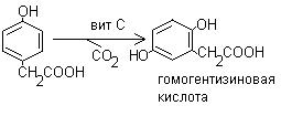 Фолиевая кислота – витамин В9, Вс - student2.ru