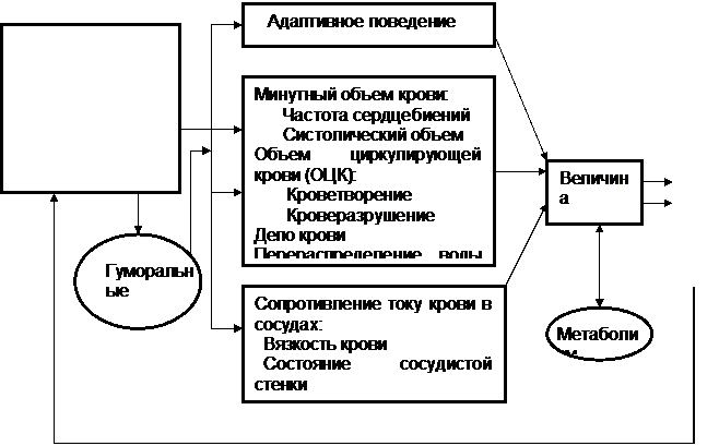 Функциональная система поддержания артериального кровяного давления. - student2.ru