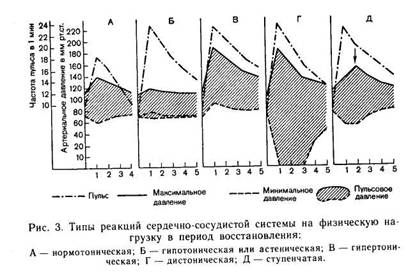 Реакция сердечно сосудистой системы на нагрузку. Проба Летунова оценка результатов. Типы реакции сердечно-сосудистой системы на физическую нагрузку. Типы реакций сердечно-сосудистой системы на функциональные пробы. Типы реакции ССС на нагрузку.