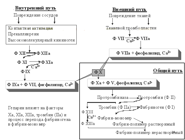 Г е п а р и н а н а т р и е в а я с о л ь - student2.ru