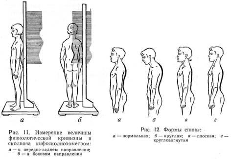 г л а в а 10 определение и оценка физического развития, особенностей телосложения и состояния опорно-двигательного аппарата - student2.ru