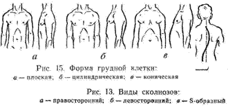 г л а в а 10 определение и оценка физического развития, особенностей телосложения и состояния опорно-двигательного аппарата - student2.ru