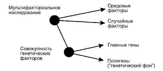 Генетические факторы патогенеза мультифакториальных - student2.ru