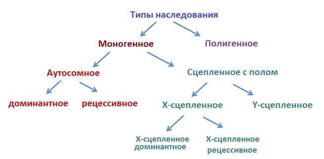 Генные болезни согласно типам наследования - student2.ru