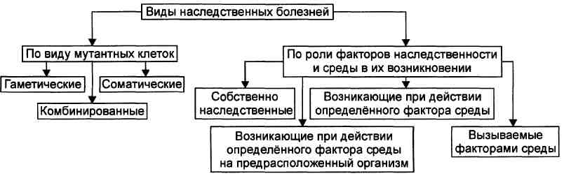 Генные мутации, хромосомные абберации, изменения генома: виды, механизмы, последствия. Виды наследственных форм патологии. - student2.ru