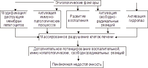Гепатиты — воспаление печени — обычно возникают в результате вирусной инфекции или интоксикации. - student2.ru