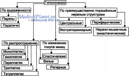 ГИПЕРКИНЕЗИЯ - Чрезмерная и неадекватная двигательная активность, крайняя неугомонность; обычно сопровождающаяся малым объемом внимания и импульсивностью - student2.ru