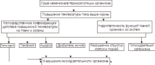 Гипертермические состояния - student2.ru