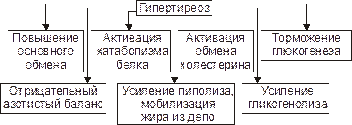 Гипертиреоидные состояния (гипертиреозы) характеризуются избытком эффектов йодсодержащих гормонов в организме. - student2.ru