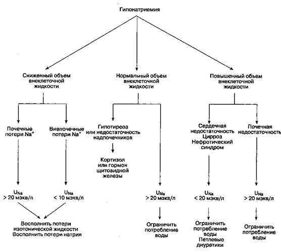 Гипонатриемия при повышенном содержании натрия в организме - student2.ru