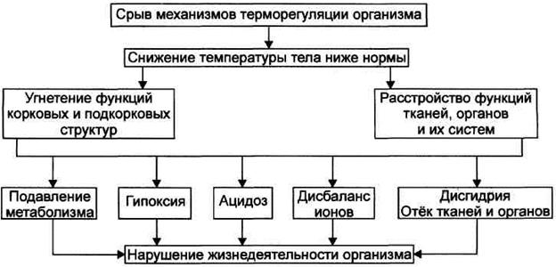 Гипотермия. Стадии гипотермии - student2.ru