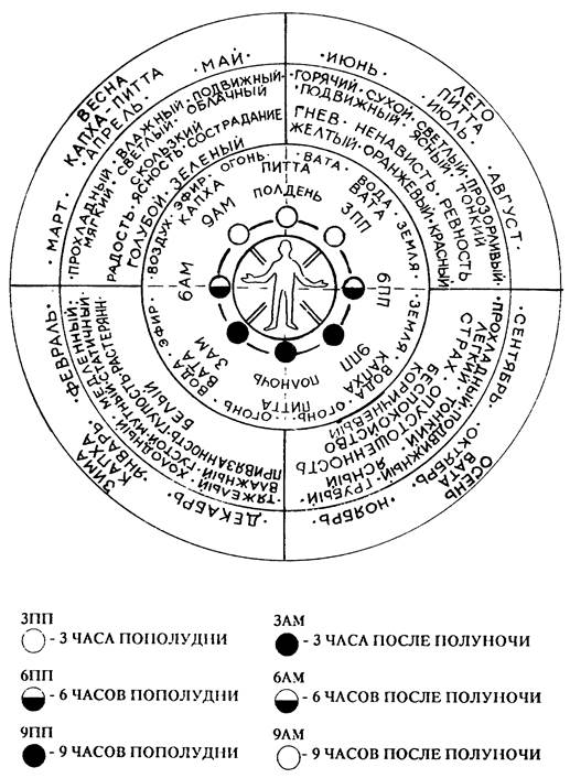 Глава 10. Образ жизни и режим - student2.ru