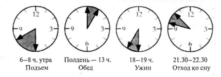 ГЛАВА 11. ПОВСЕДНЕВНОЕ ЗАНЯТИЕ –КАЧАТЬСЯ НА ВОЛНАХ ПРИРОДЫ - student2.ru