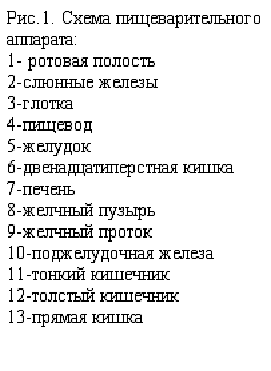 Глава 2. Физиология пищеварения - student2.ru