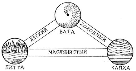 Глава 2. Пять элементов и человек - student2.ru