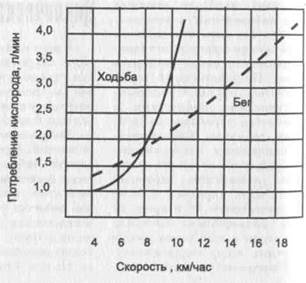 глава 3. физиологическая характёриcтика - student2.ru