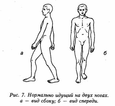 Глава 4 Харли (60 лет): неубирающееся шасси - student2.ru