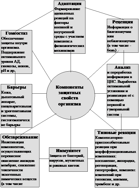 Глава 5. Механизмы восстановления нарушенных функций - student2.ru