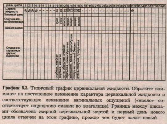 Глава 5. Три главных признака способности к деторождению - student2.ru