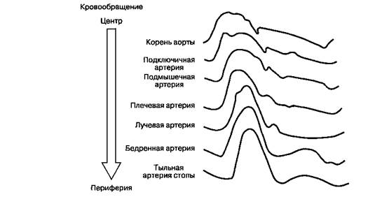 Глава 6 Интраоперационный мониторинг - student2.ru