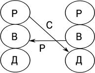 глава 6. структурная патология - student2.ru