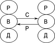 глава 6. структурная патология - student2.ru