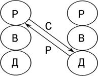 глава 6. структурная патология - student2.ru