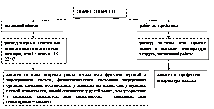 глава 8.5. обмен веществ и энергии в организме - student2.ru