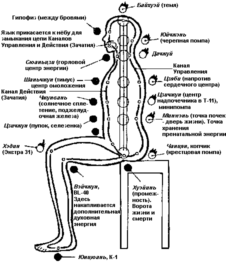 Глава 8 - Секреты сохранения семени - student2.ru